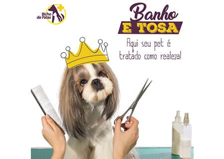 Arte Banho e Tosa